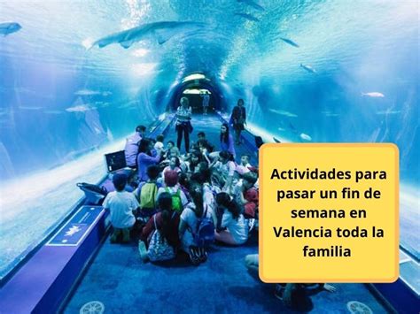 actividades valencia fin de semana